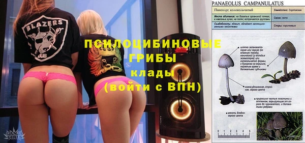 меф Дмитров