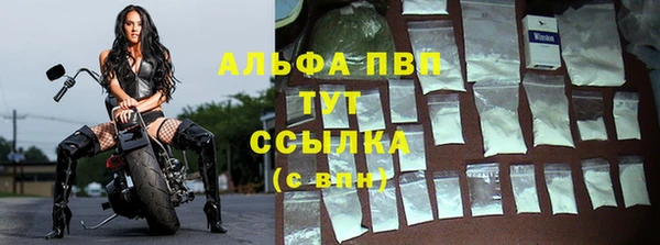 стафф Ельня